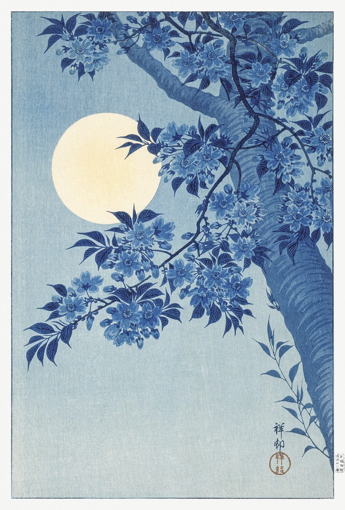 Blossoming Cherry on a Moonlit Night — Ohara Koson