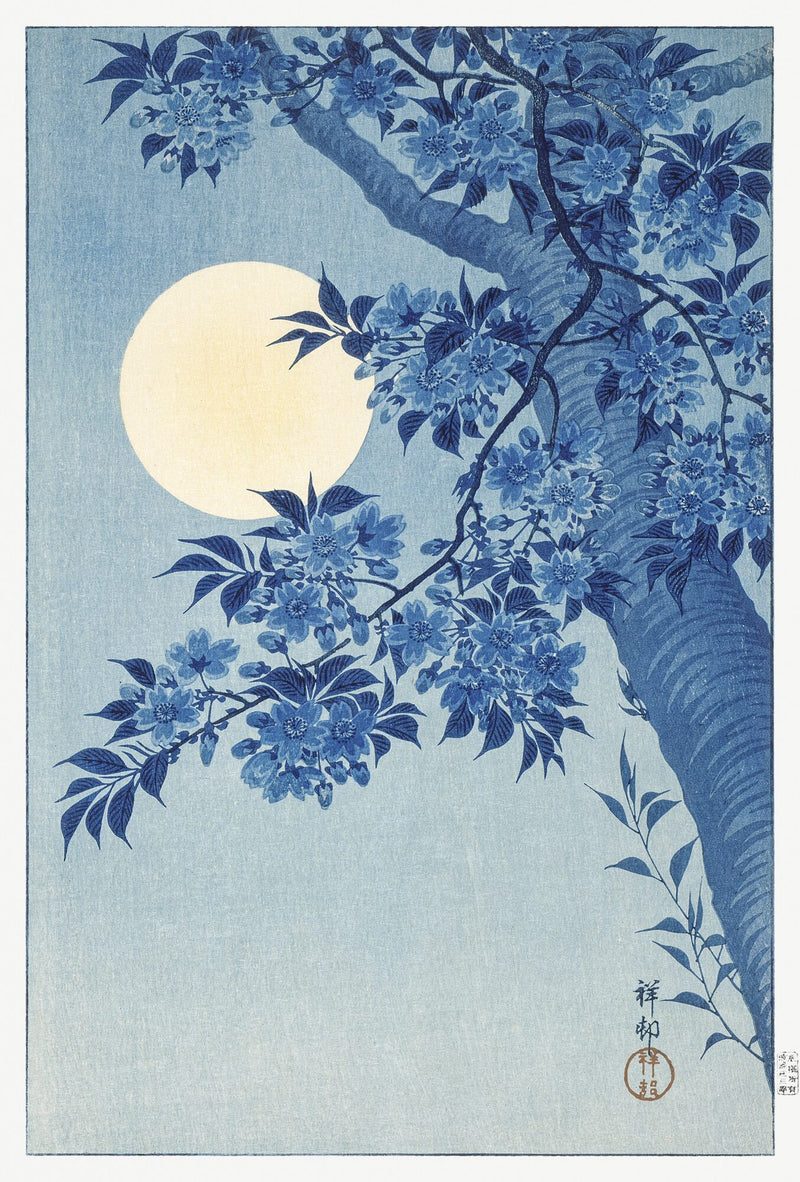 Blossoming Cherry on a Moonlit Night (c. 1932) — Ohara Koson