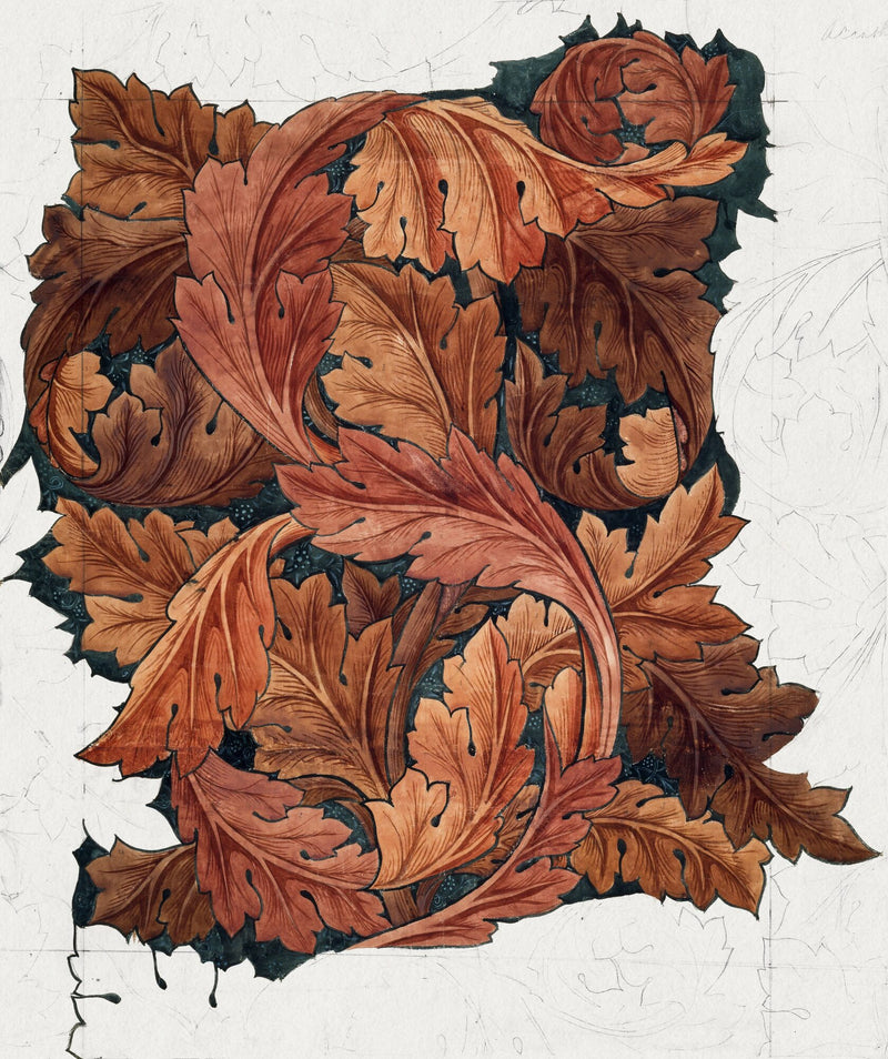 Acanthus — William Morris