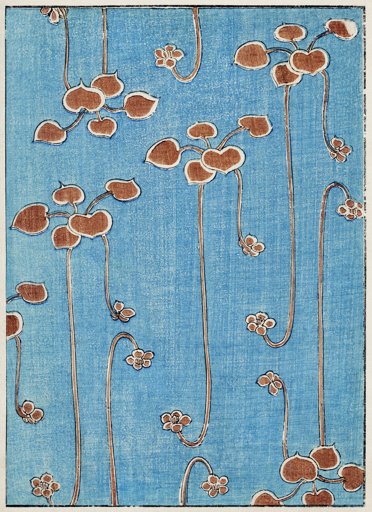Vine illustration — Shin Bijutsukai