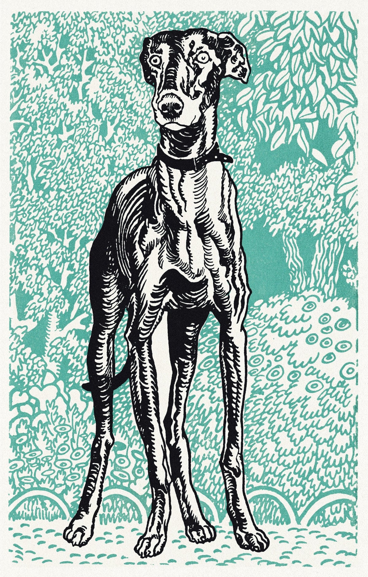 Greyhound — Moriz Jung