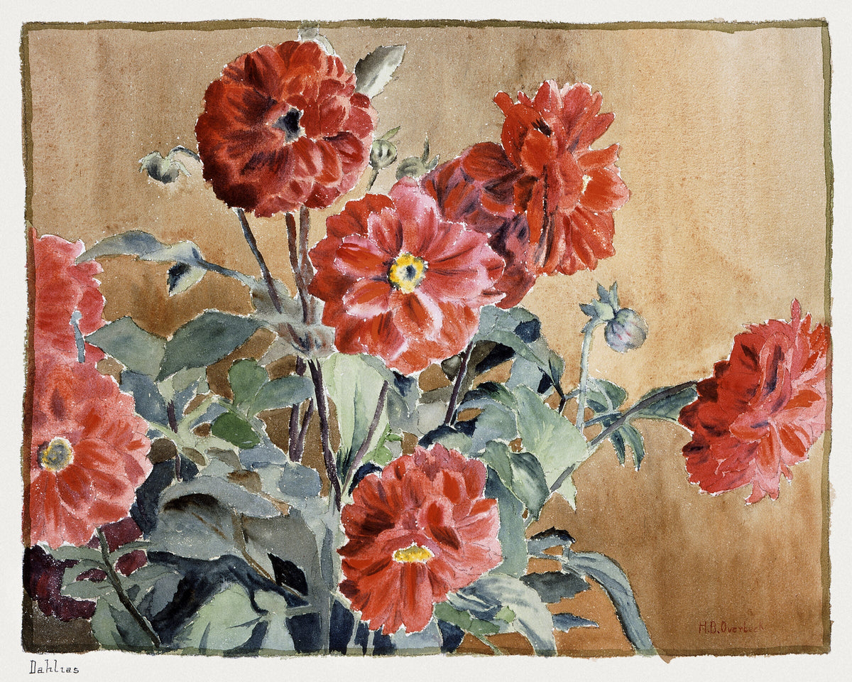 Dahlias — Hannah Borger Overbeck