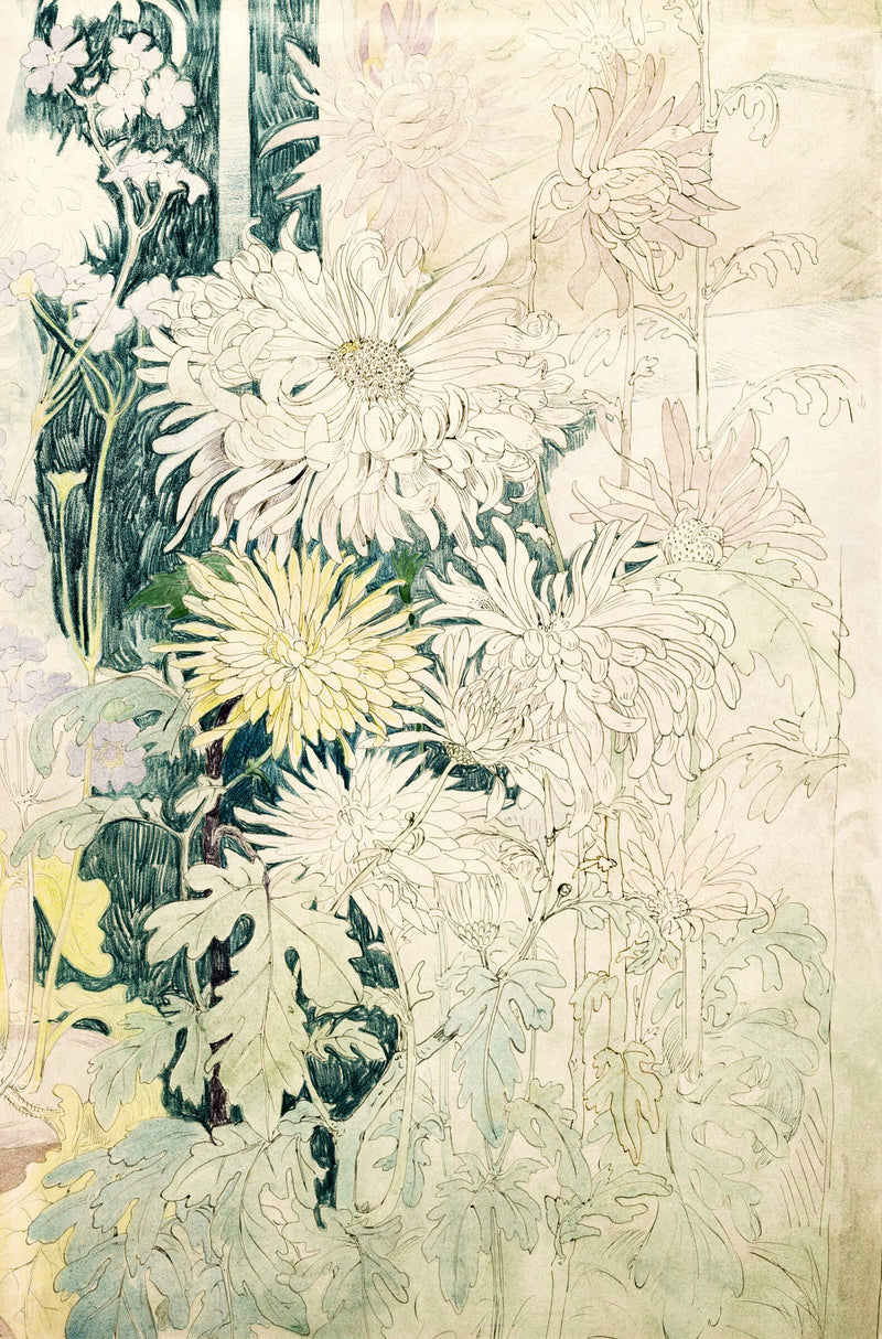 Chrysanten en enkele andere herfstbloemen — Theo van Hoytema