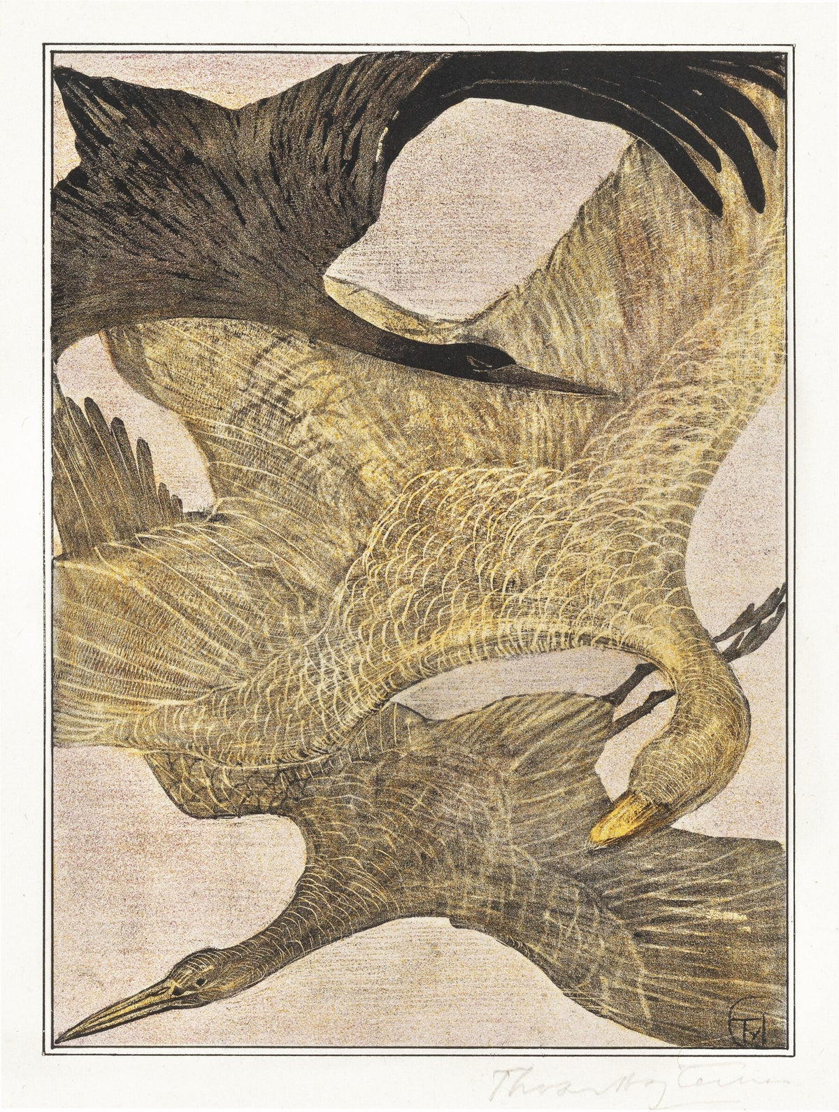 Drie vliegende vogels — Theo van Hoytema