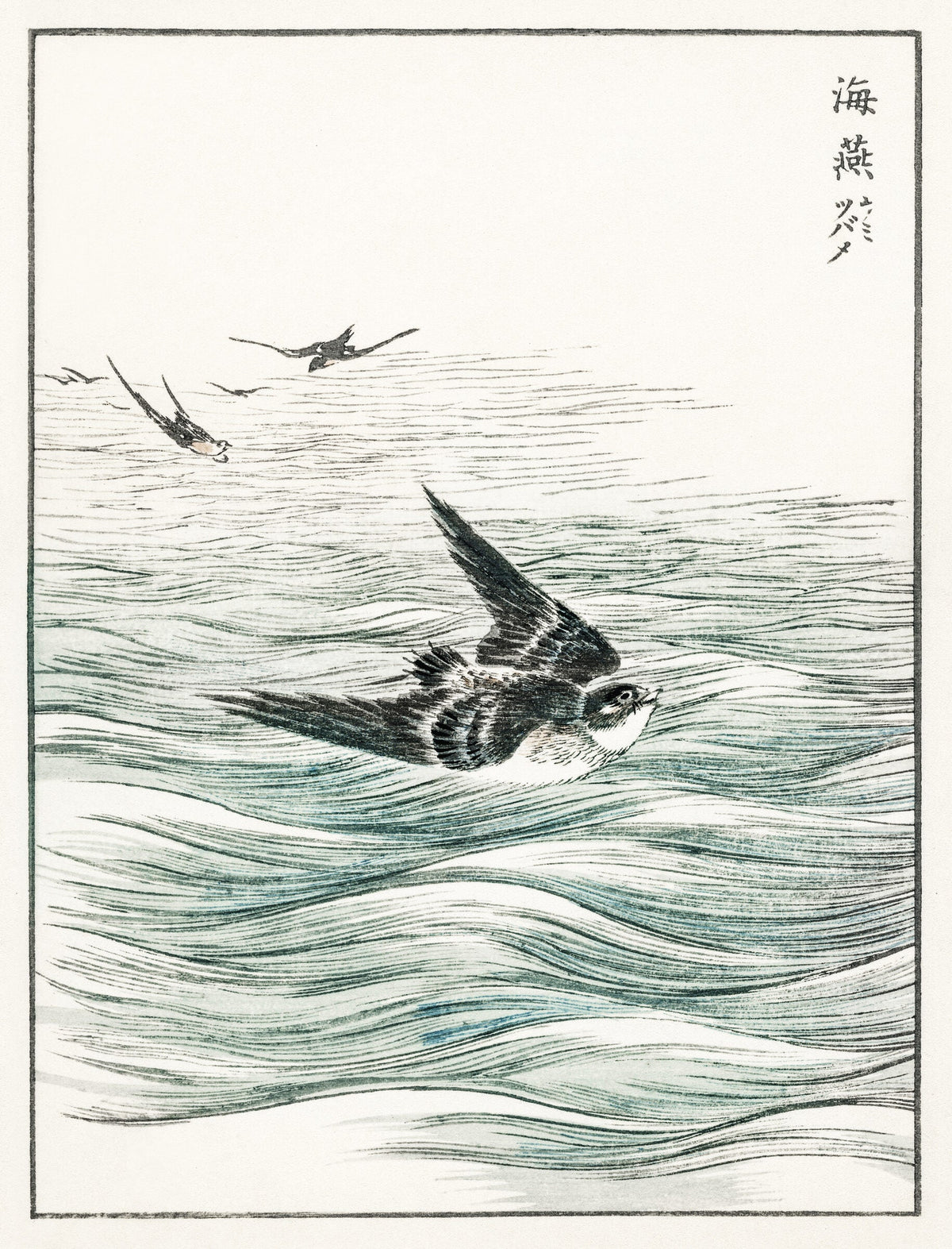 Riu Kiu House Swallow illustration — Numata Kashu