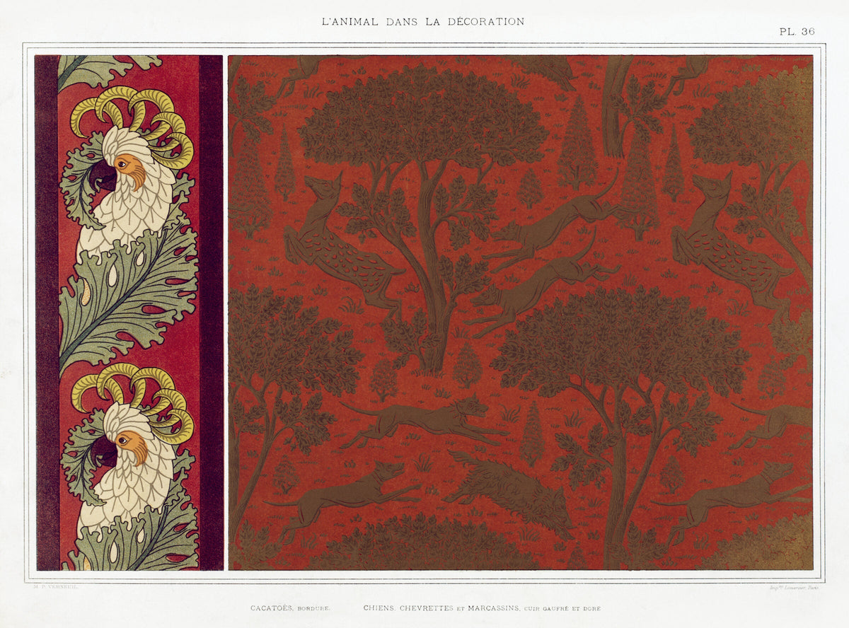 Cacatoès, bordure — Maurice Pillard Verneuil