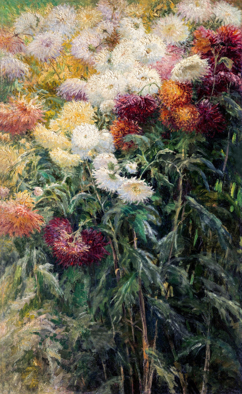 Chrysanthemums in the Garden at Petit-Gennevilliers — Gustave Caillebotte
