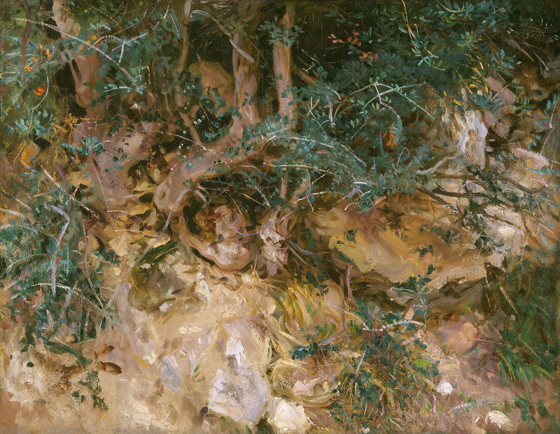 Valdemosa, Majorca: Thistles and Herbage on a Hillside — John Singer Sargent