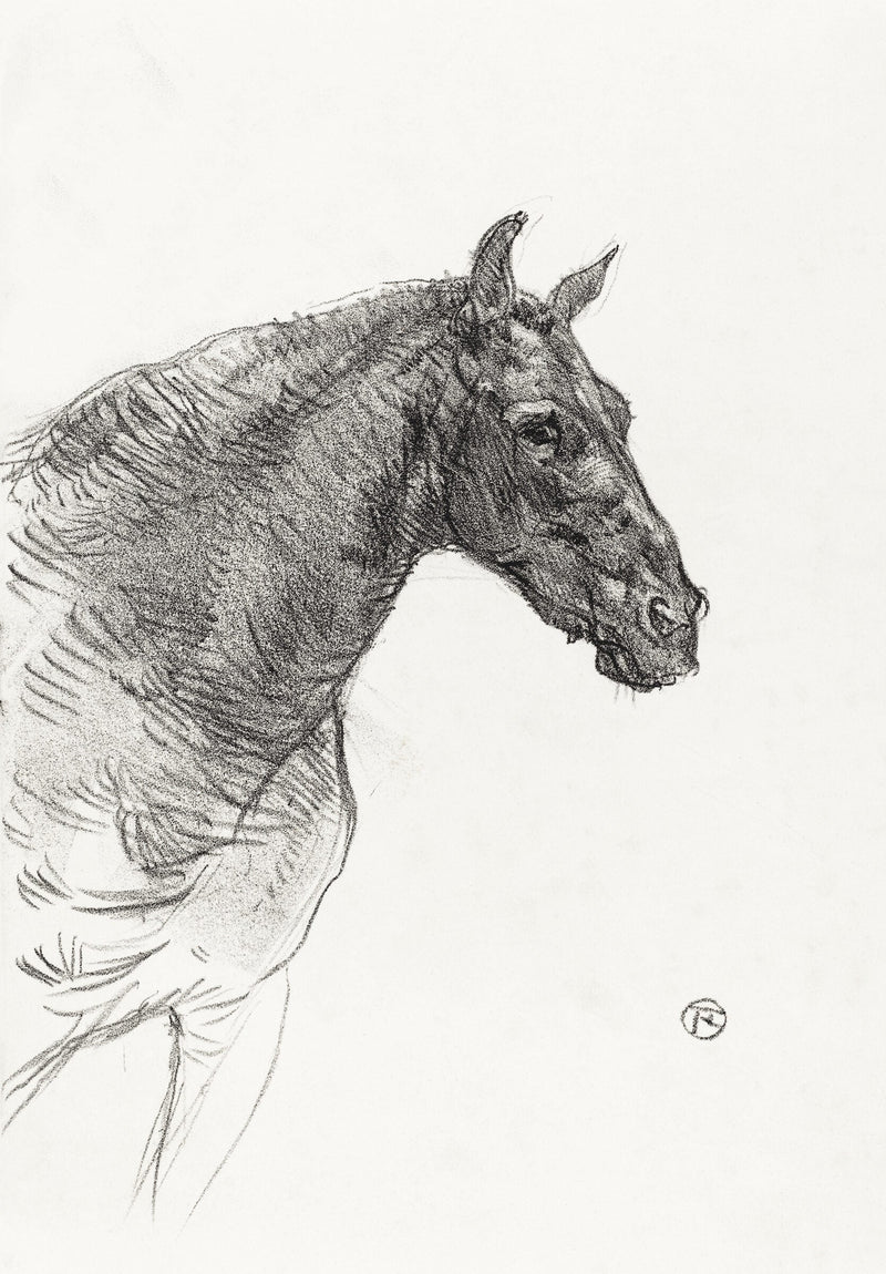 Old Horse (Le vieux cheval) — Henri de Toulouse-Lautrec