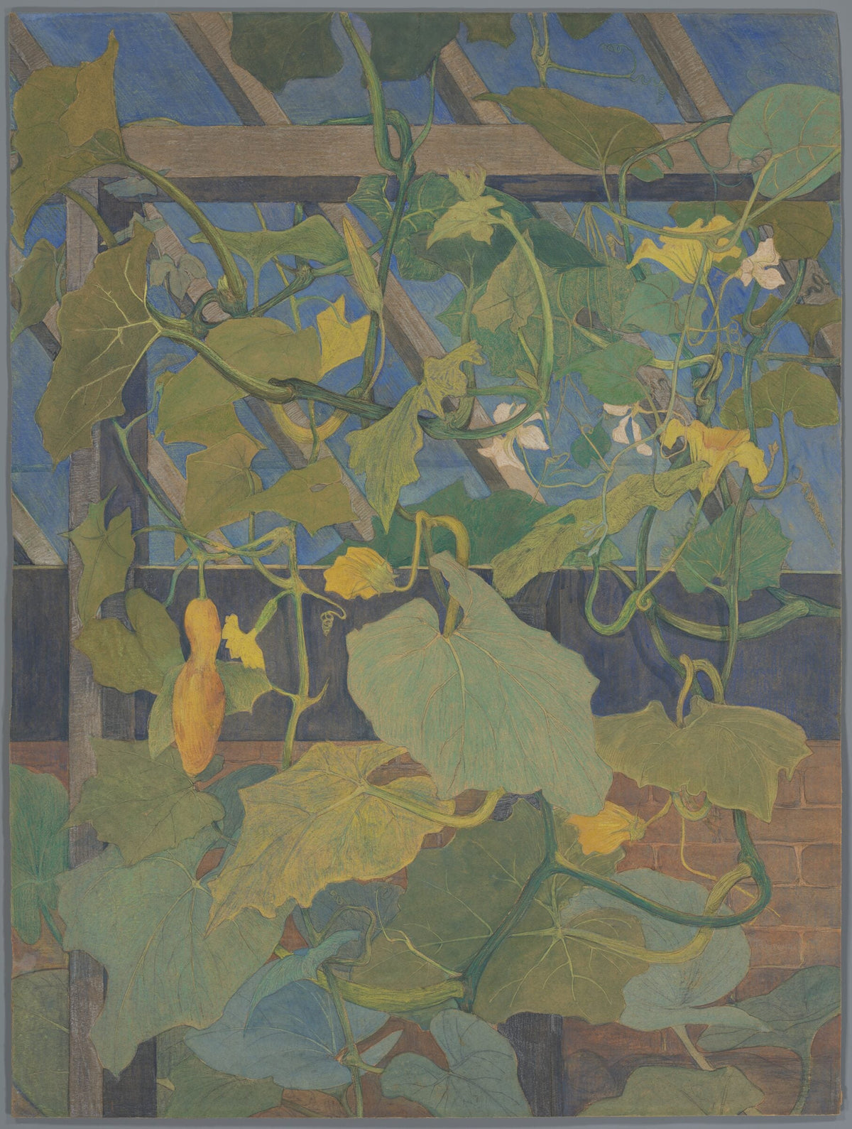 Broeikas met sierkalebassen — Theo van Hoytema