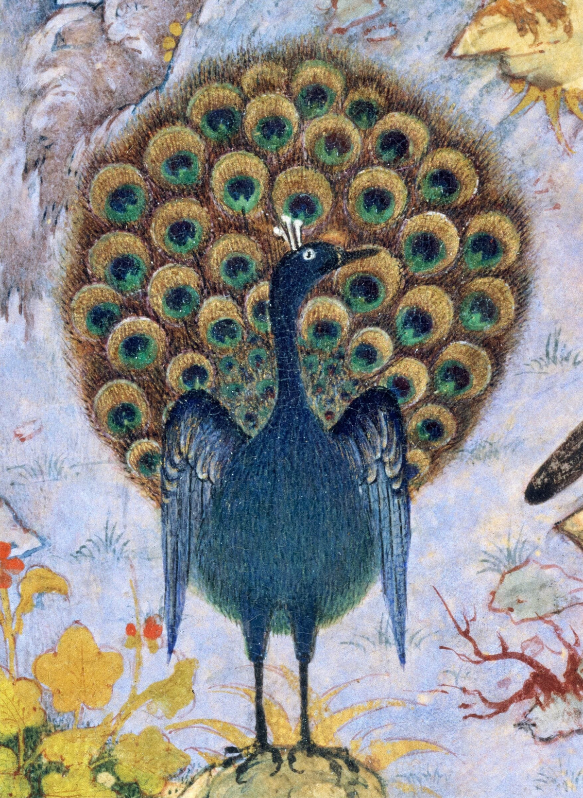The Concourse of the Birds — Habiballah of Sava