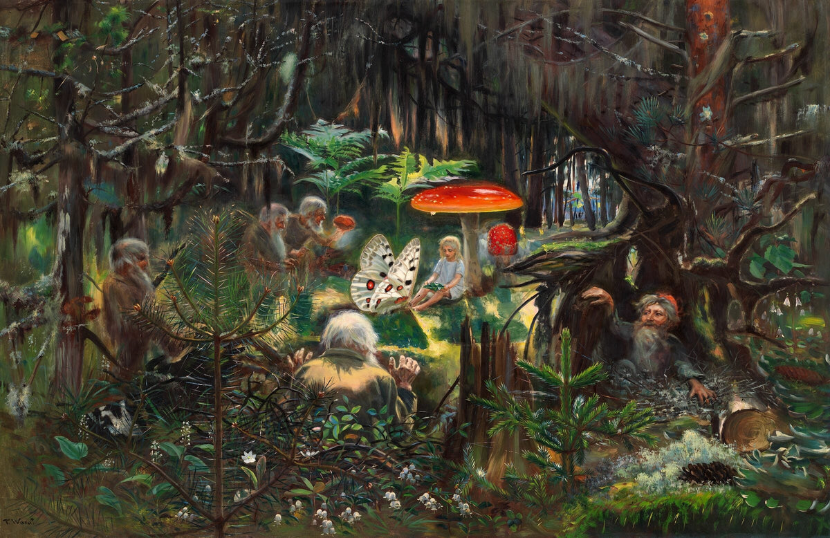 Fairy Tale Princess — Torsten Wasastjerna