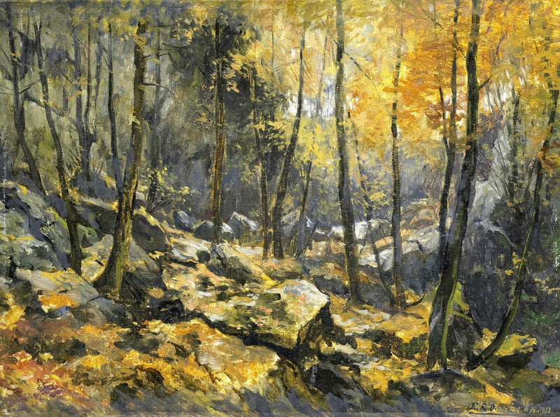 Felsenmeer — Egbert Rubertus Derk Schaap
