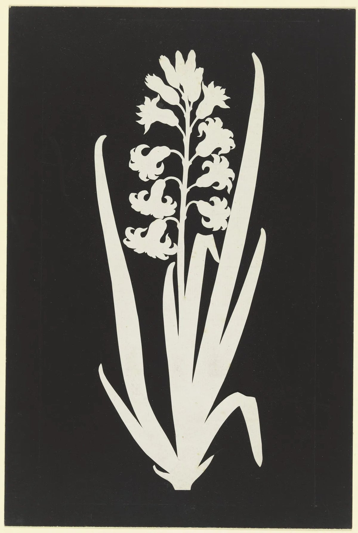 Hyacinth — Philipp Otto Runge