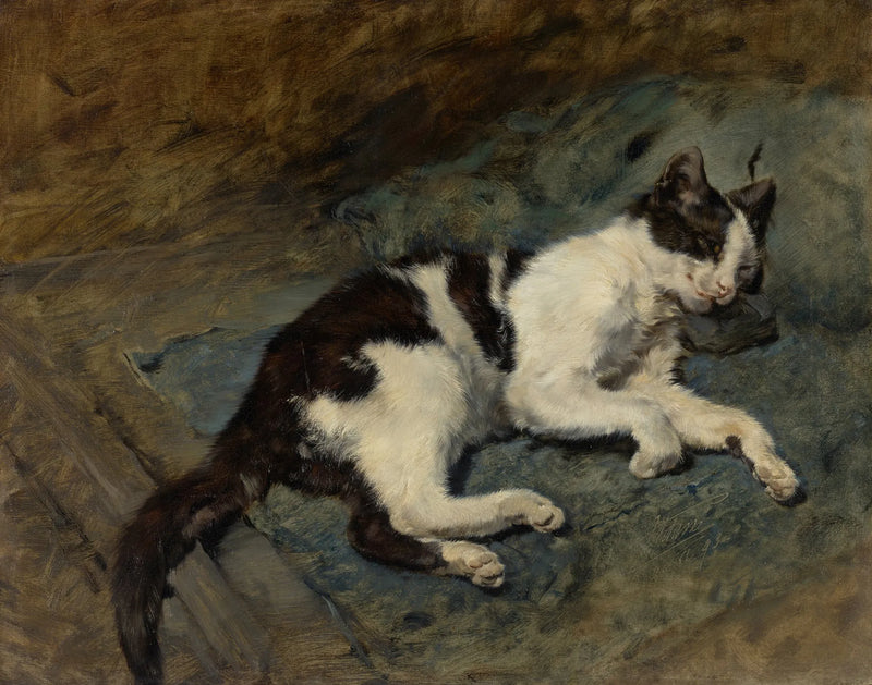 Sleeping Cat — Julius Adam