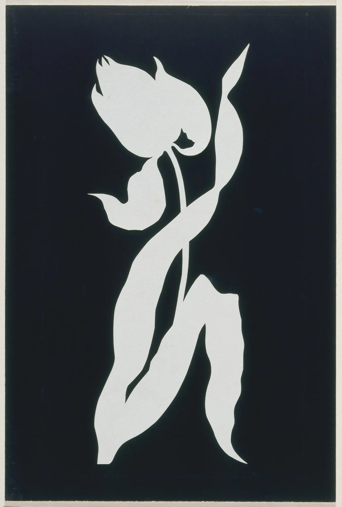 Tulip — Philipp Otto Runge