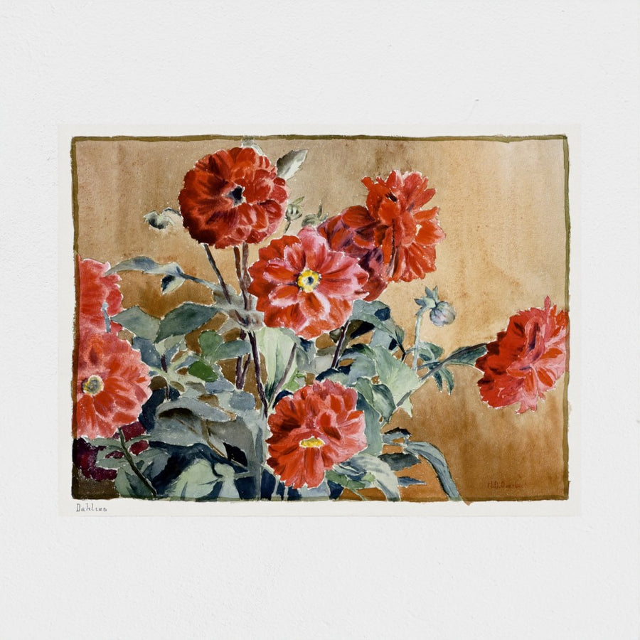 Dahlias — unframed, front