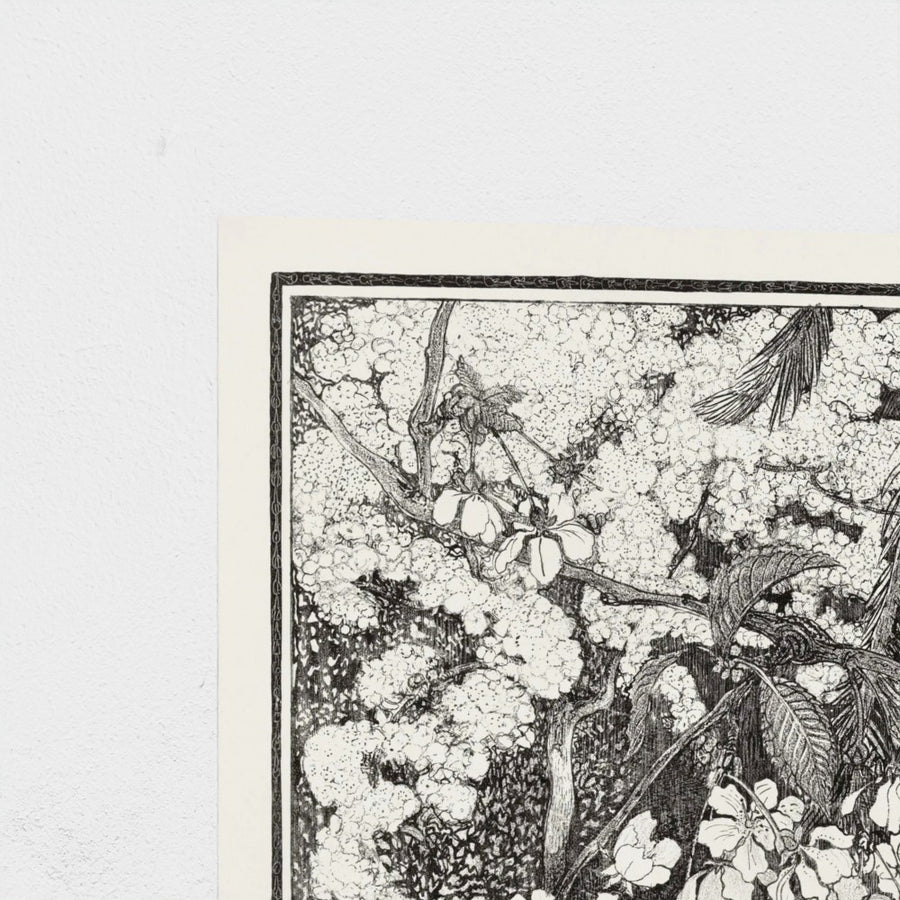 Lente, in black — unframed, corner detail