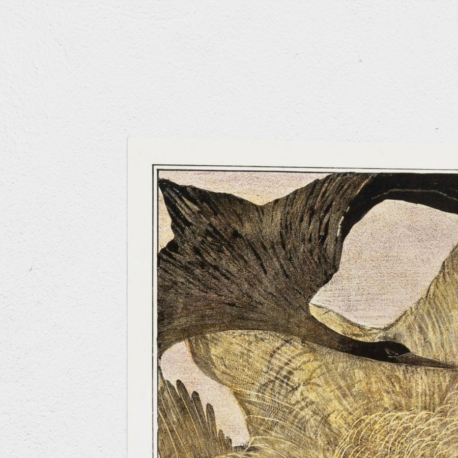 Drie vliegende vogels — unframed, corner detail