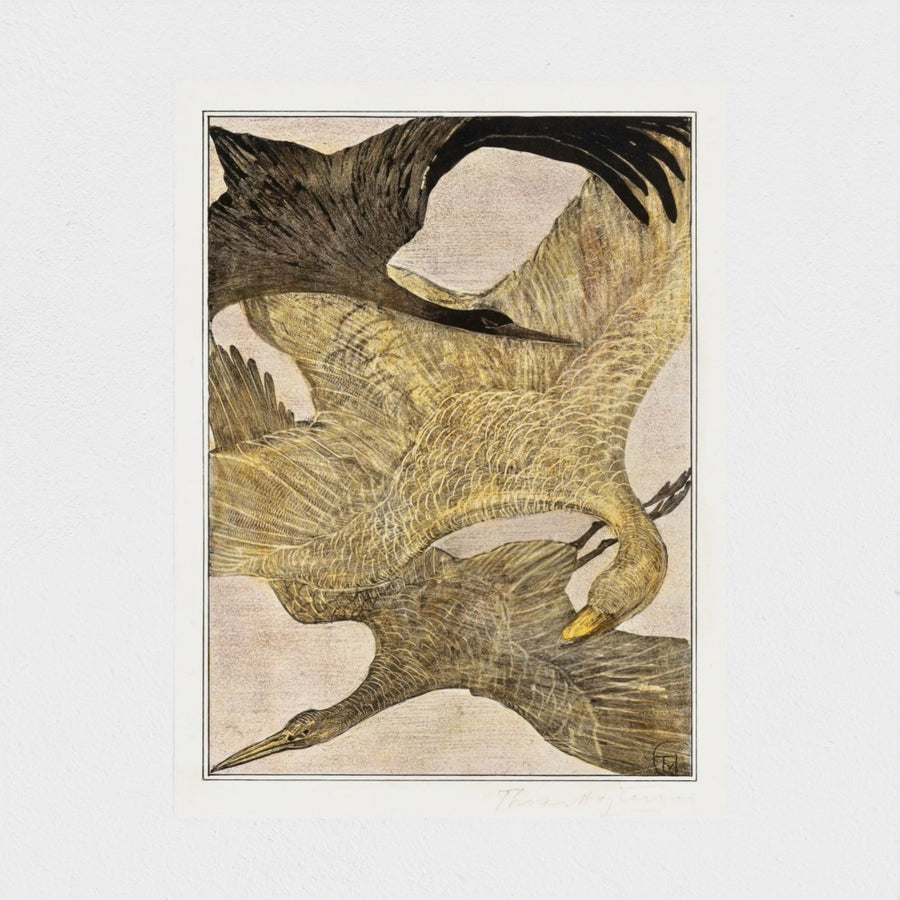 Drie vliegende vogels — unframed, front