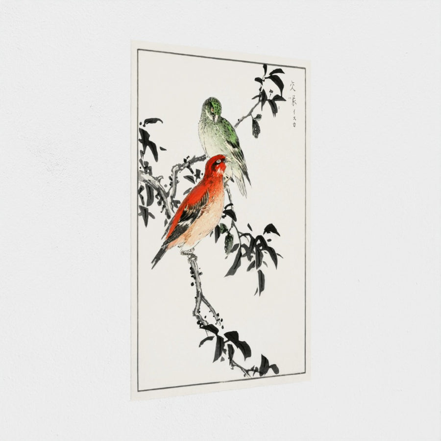 Crossbill illustration — unframed, at an angle