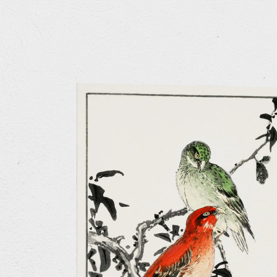 Crossbill illustration — unframed, corner detail