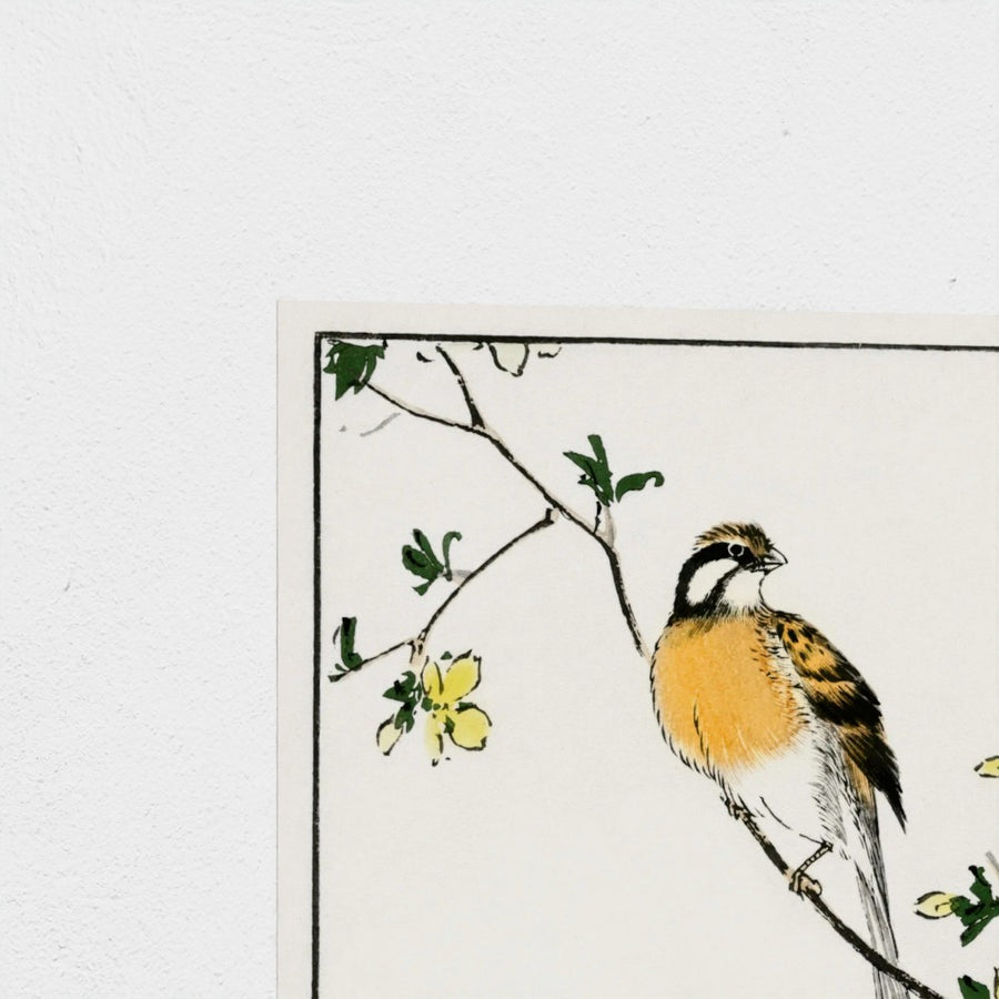Japanese Meadow Bunting and Golden Ball illustration — unframed, corner detail