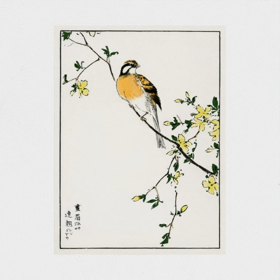 Japanese Meadow Bunting and Golden Ball illustration — unframed, front