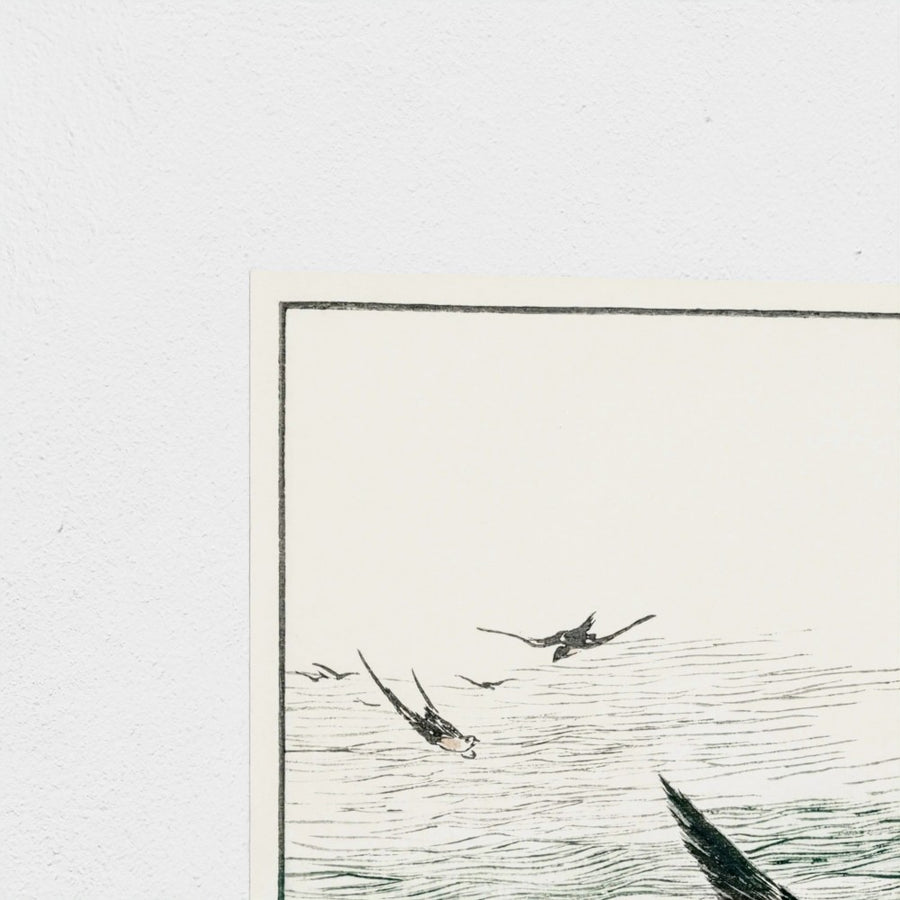 Riu Kiu House Swallow illustration — unframed, corner detail
