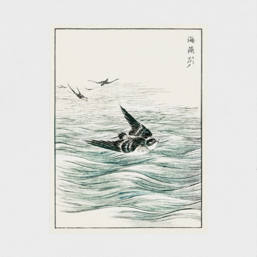 Riu Kiu House Swallow illustration — unframed, front
