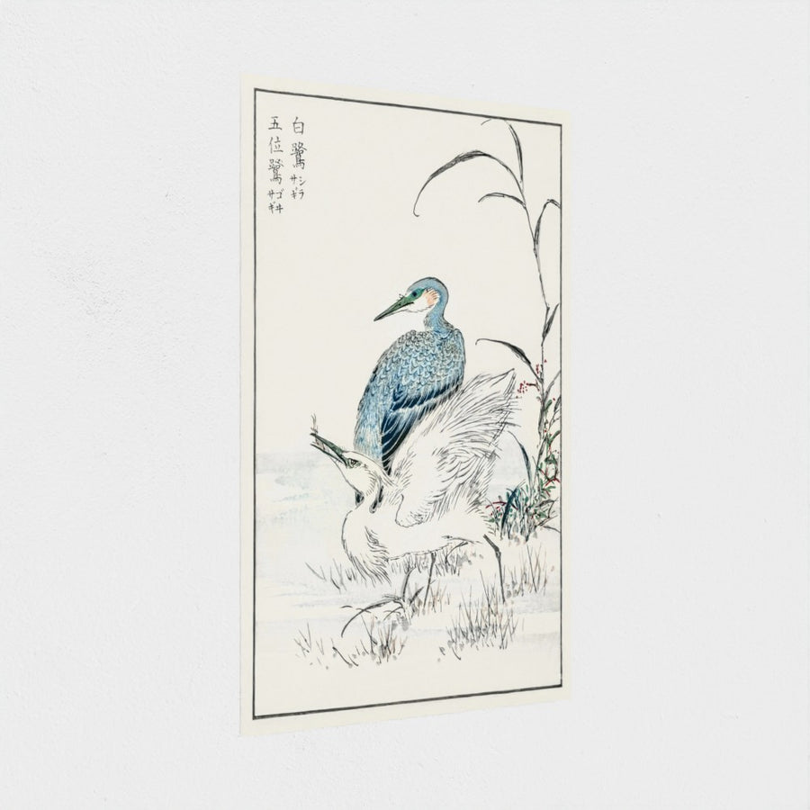 Night Heron and Little Egret illustration — unframed, at an angle