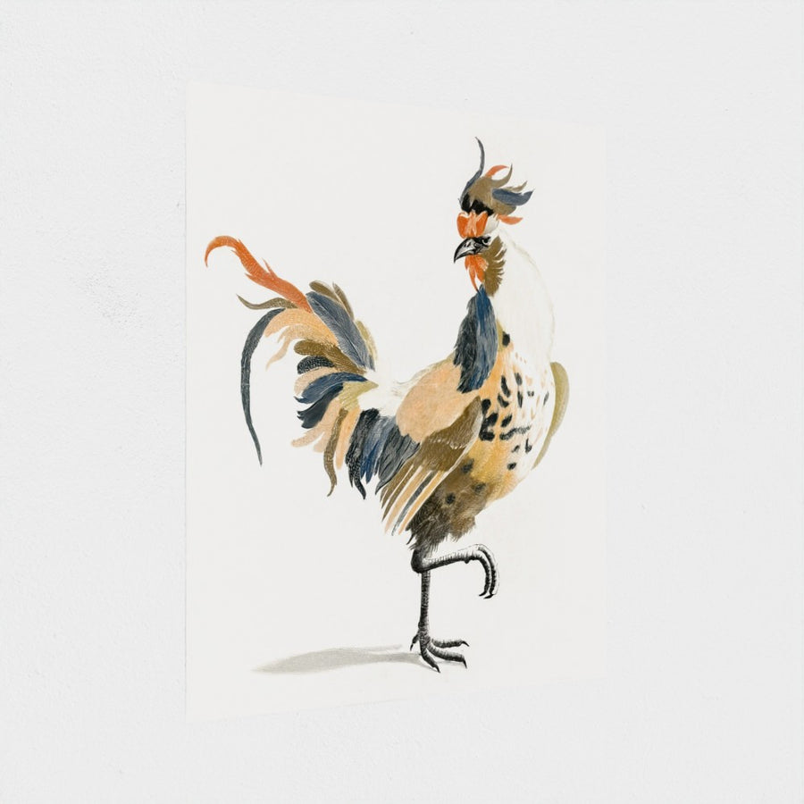 A Cock — unframed, at an angle