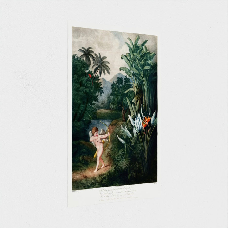 Cupid Inspiring Plants with Love — unframed, at an angle