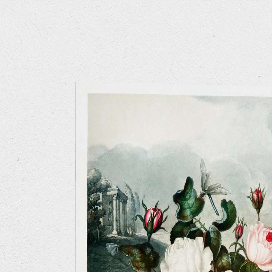 Roses — unframed, corner detail