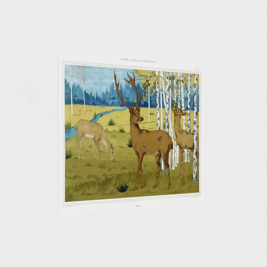 Cerfs — unframed, at an angle