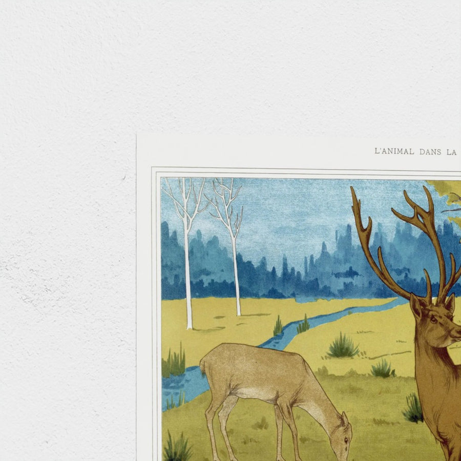 Cerfs — unframed, corner detail