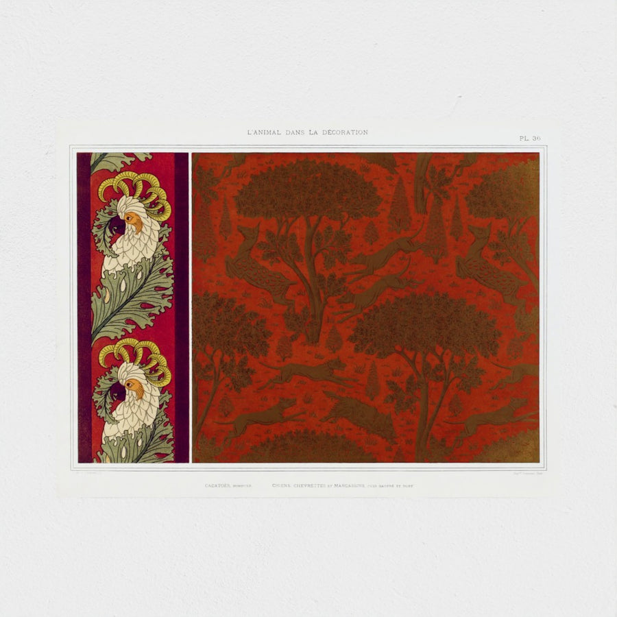 Cacatoès, bordure — unframed, front