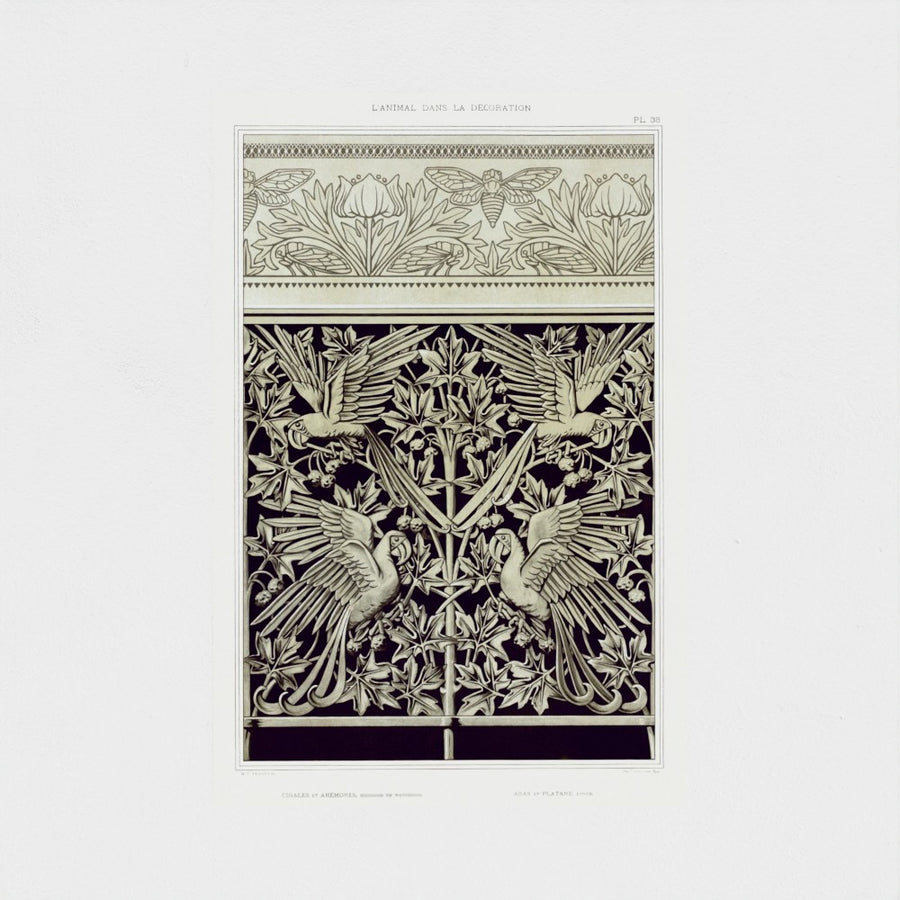 Cigales et anémones, bordure de napperon — unframed, front