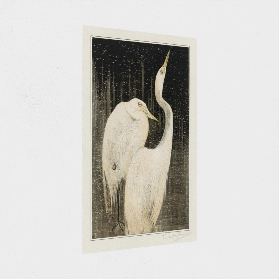 Twee zilverreigers — unframed, at an angle