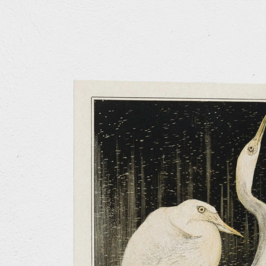 Twee zilverreigers — unframed, corner detail