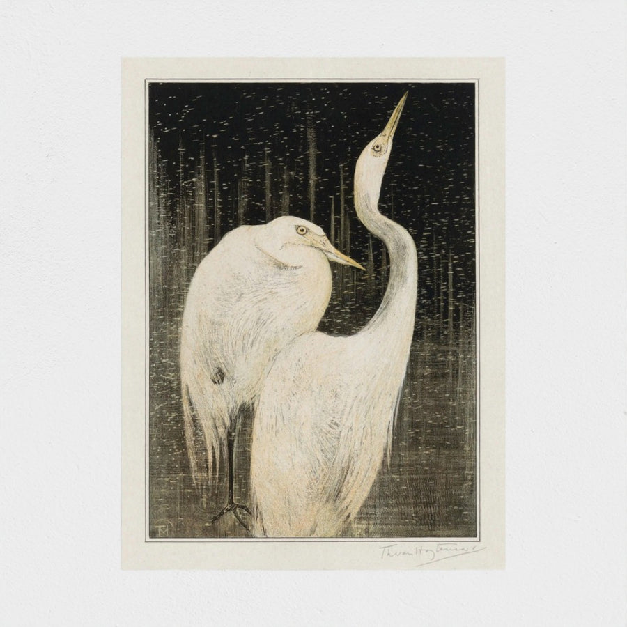Twee zilverreigers — unframed, front