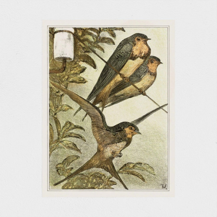 Drie zwaluwen — unframed, front