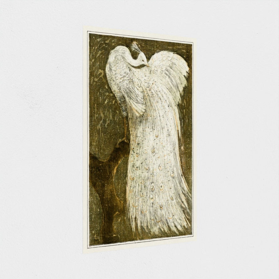 Witte pauw op tak — unframed, at an angle