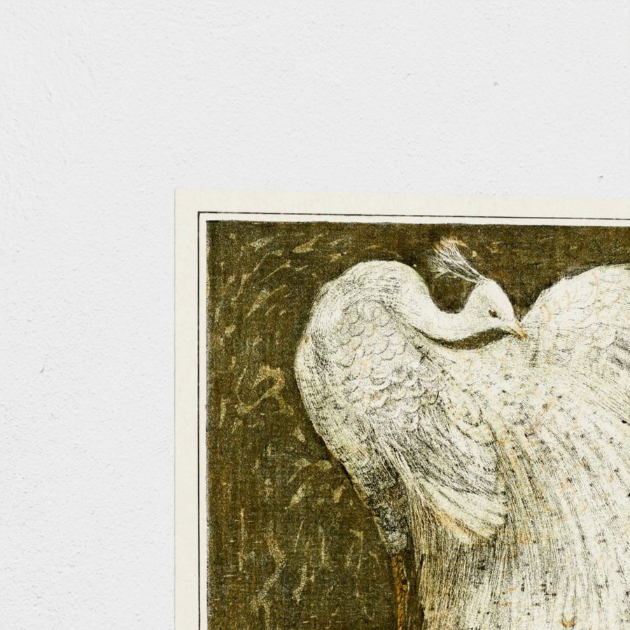 Witte pauw op tak — unframed, corner detail