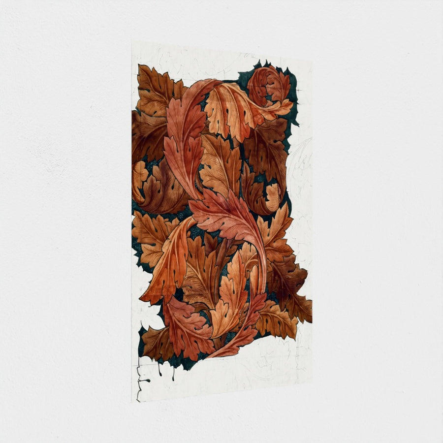 Acanthus — unframed, at an angle