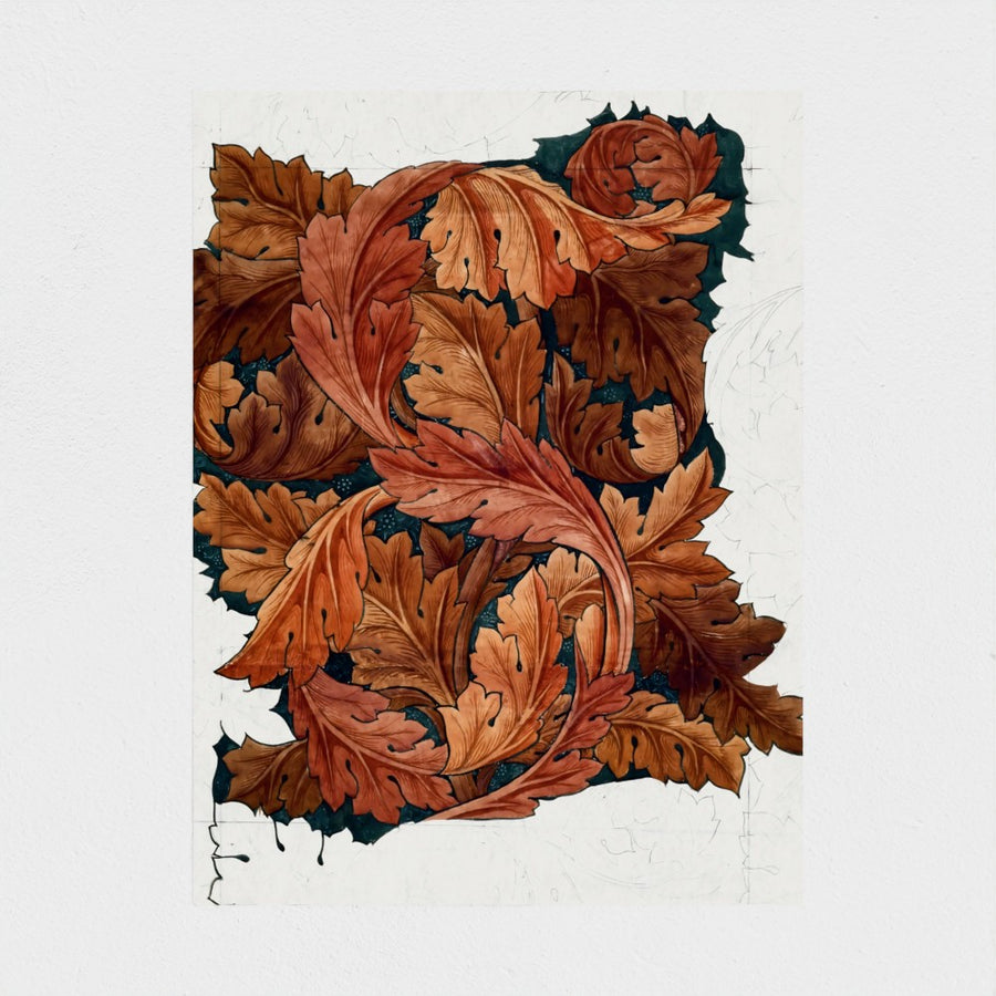 Acanthus — unframed, front