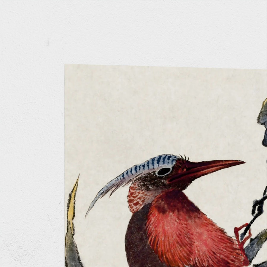 Birds, from Album of Sketches — unframed, corner detail