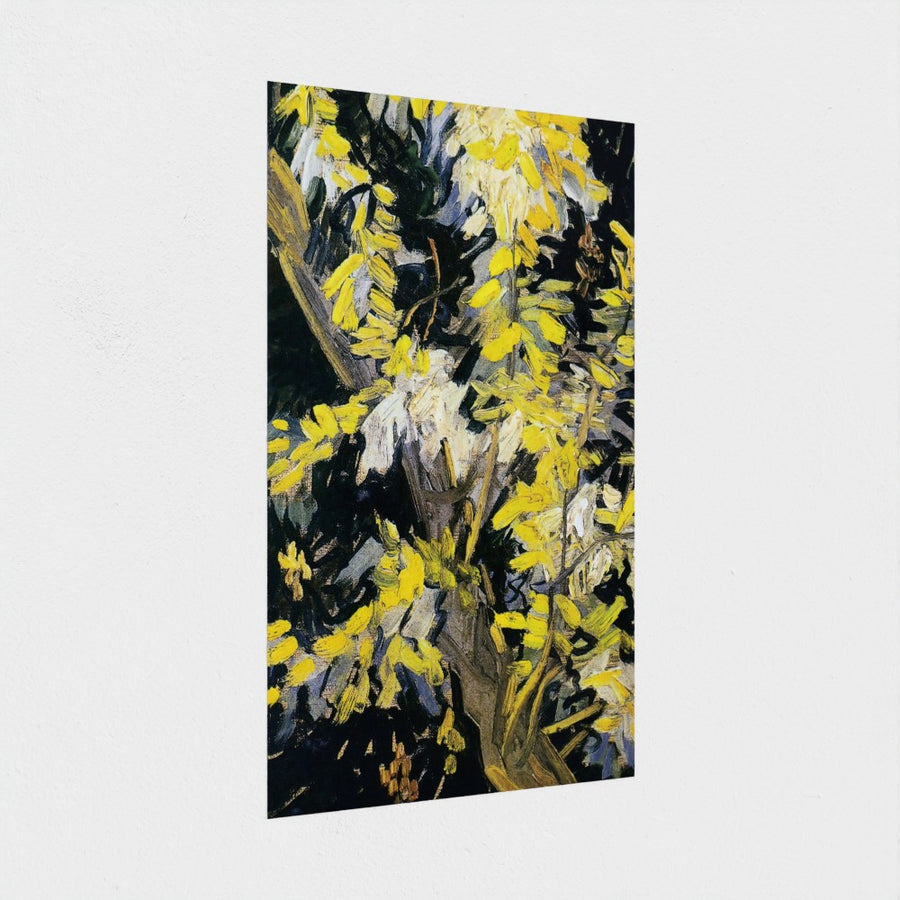 Blossoming Acacia Branches — unframed, at an angle