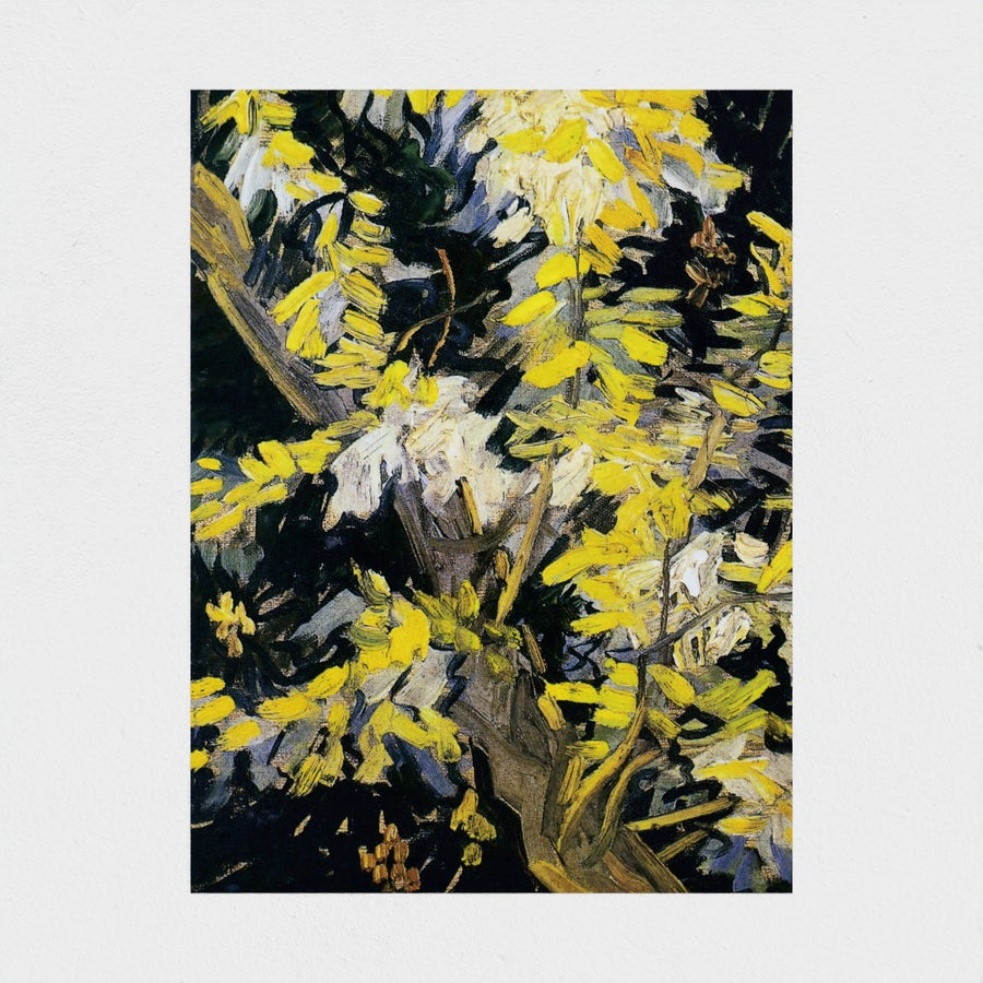 Blossoming Acacia Branches — unframed, front
