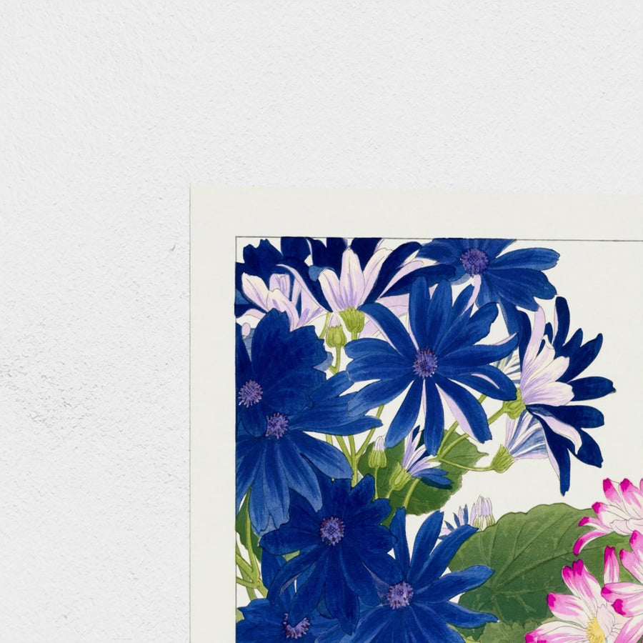 Cineraria (blue), from Seiyo Soka Zufu — unframed, corner detail